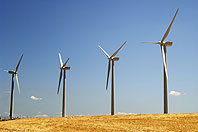 Hausse de la capacité installée en énergies éolienne et solaire en 2012