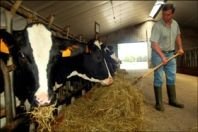 L’OCDE exhorte l’UE à réformer le soutien à l’agriculture