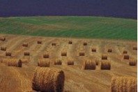 L’Allemagne et la France appellent au gel du budget agricole de l’UE