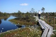 raised_bog_nat2000_latvia.jpg