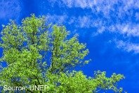 backup_UNEP2.jpg