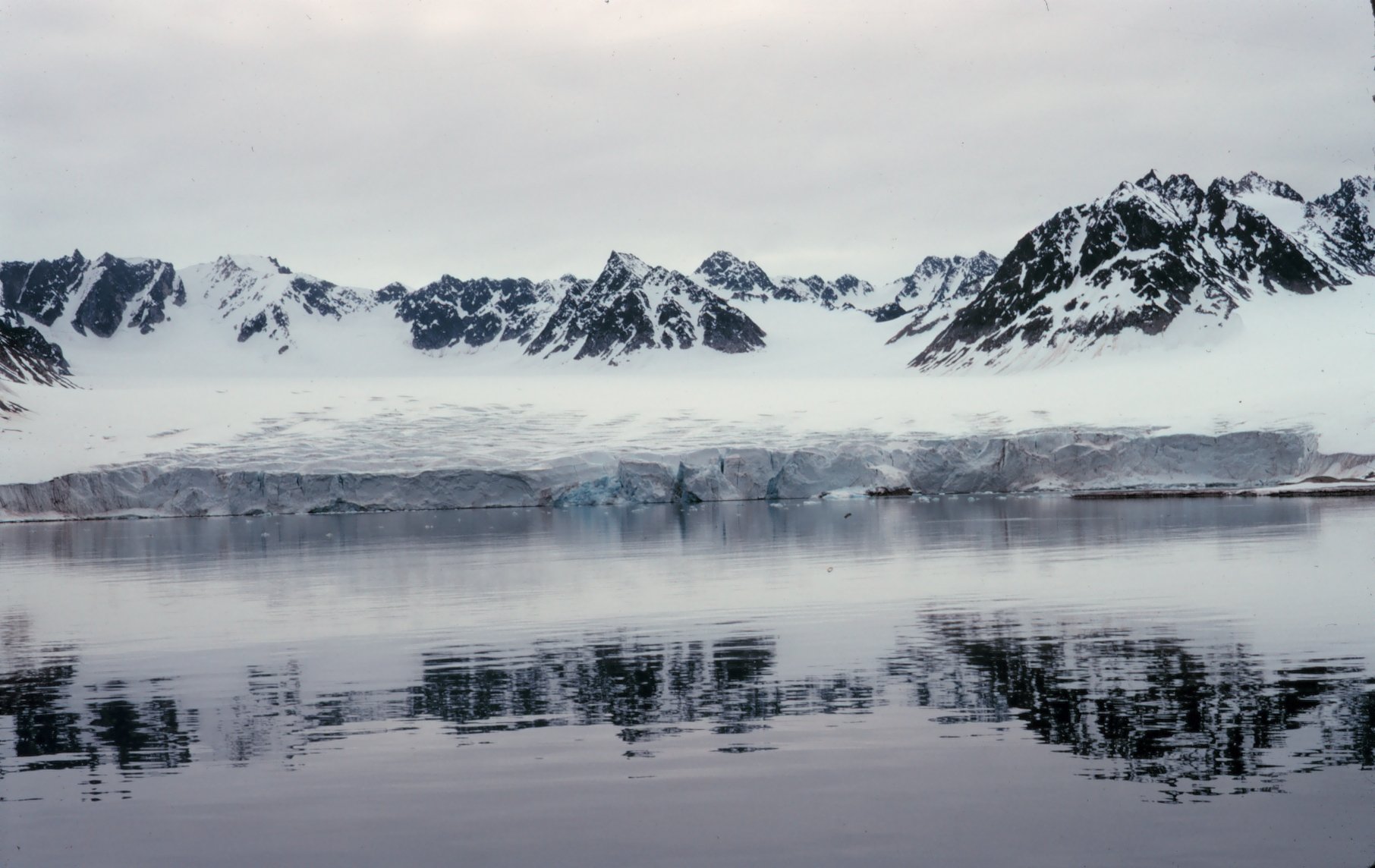 arctic.jpg