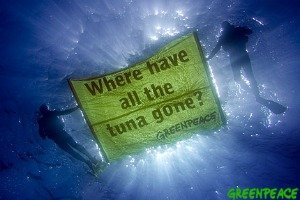wherehavethetunagone.jpg