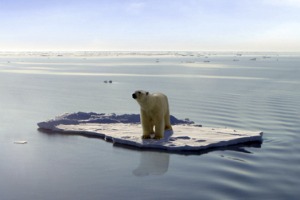 Nature, diplomatie et ruée vers le pétrole dans l'Arctique  