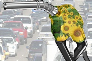 Airbus demande à l'UE d'abandonner les incitants sur le biodiesel pour le transport routier