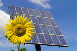 La croissance du secteur de l'énergie solaire en Europe « n’est pas éternelle »