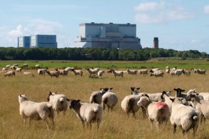 Des États européens ne veulent pas limiter les aides d’État dans le secteur de l’énergie