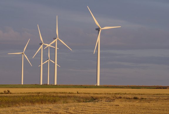 Sur l’environnement, les collectivités plus opérationnelles que l’État selon un sondage