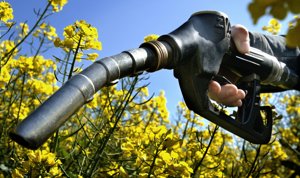 Biocarburants : une solution pour lutter contre le réchauffement climatique?