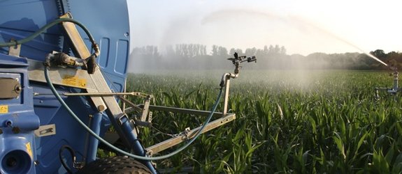 La Commission autorise une variété de pommes de terre OGM