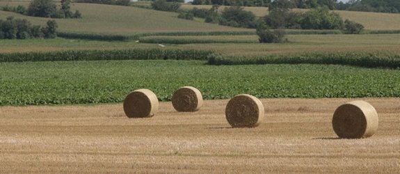 Le Parlement européen en ordre de bataille sur la PAC