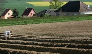 La Commission voudrait une PAC très verte