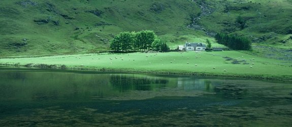 La stratégie française sur la biodiversité déjà critiquée