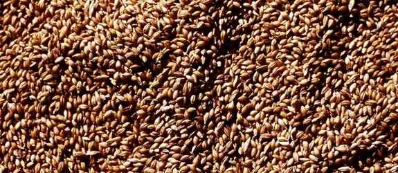 Matières premières : le rapport qui a mis le feu aux poudres