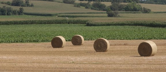 Accord politique sur la réforme de la PAC 