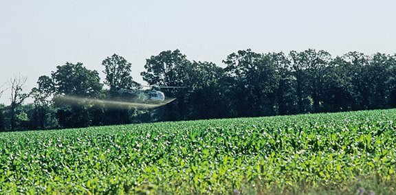 7686664f179490f05445f143ce63abc4.jpg