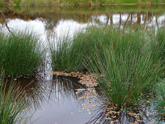 La pollution des nitrates empoisonnera la France encore longtemps