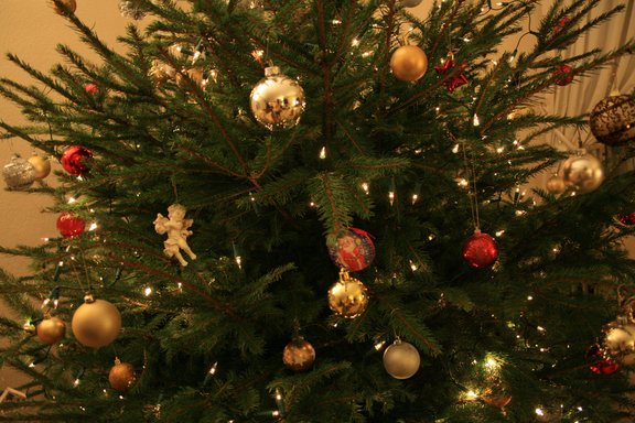 La France pourrait se faire enguirlander par Bruxelles pour des aides au secteur du sapin