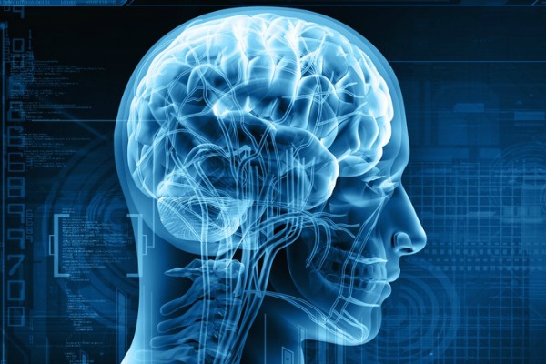 Human Brain Project : un projet de recherche européen permet de cartographier le cerveau humain