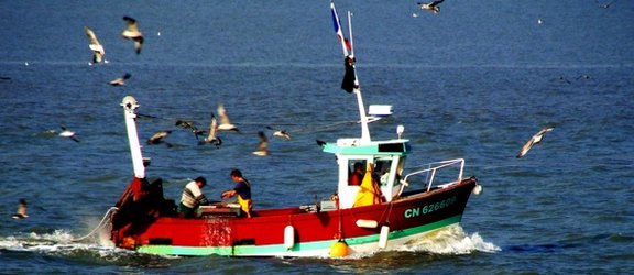 Pêche : les Etats refusent une interdiction totale des rejets