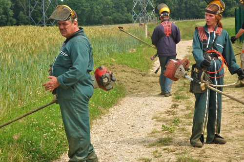 Des «Brigades vertes» pour reprendre goût au travail