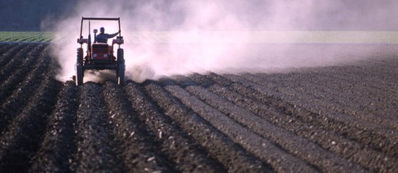 Mobilisation sur tous les fronts contre la sécheresse