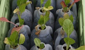 Bruxelles encadre l’innovation agricole