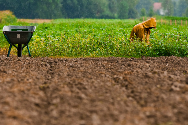 Des groupes d’agriculteurs veulent un accord sur la PAC avant fin juin