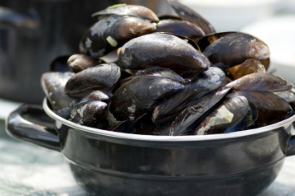 Mossels_smaller.jpg