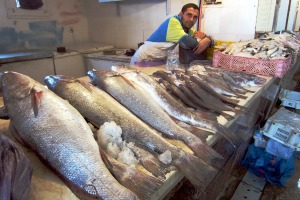 Les pêcheurs sahraouis condamnent le traité Europe-Maroc