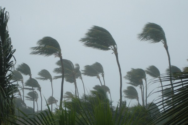 La technologie, kit de survie contre les catastrophes naturelles