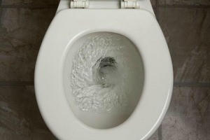 La Commission européenne s'attaque aux chasses d'eau