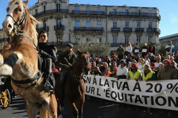 Les professionnels du cheval manifestent contre Bruxelles