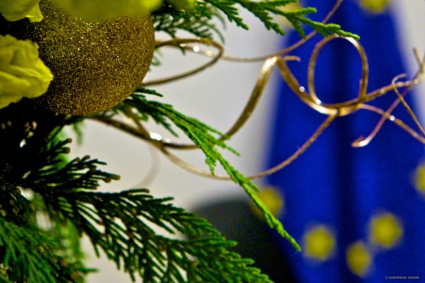 A lire : les sujets qui feront l'élection européenne de 2019