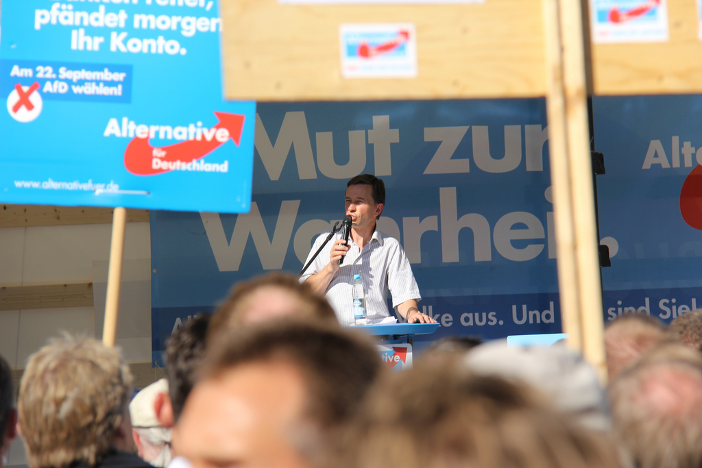 Le parti eurosceptique allemand AfD cible le Parlement européen