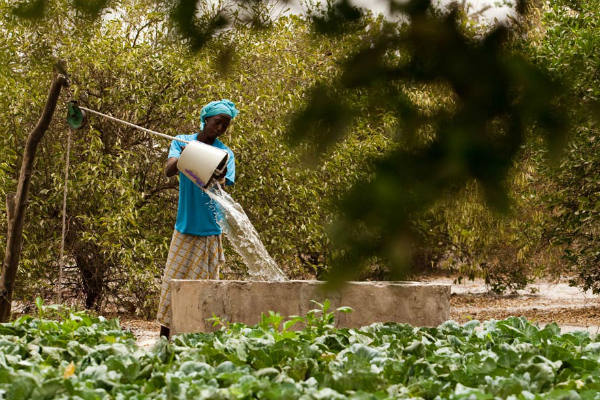 L’UE s'engage dans la lutte contre les pesticides en Afrique 