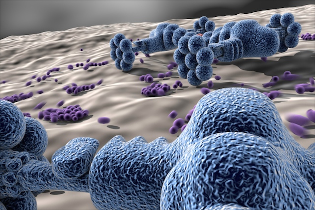 Le Parlement s'oppose au projet de définition des nanotechnologies alimentaires