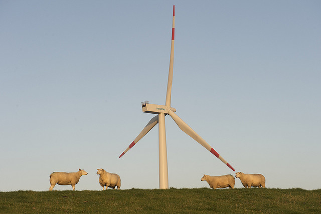 Les coopératives, solution contre la dépendance énergétique