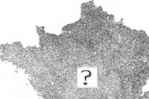 La France tarde à choisir son ou sa commissaire