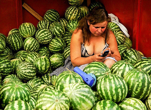 La Russie impose un embargo temporaire sur les fruits moldaves