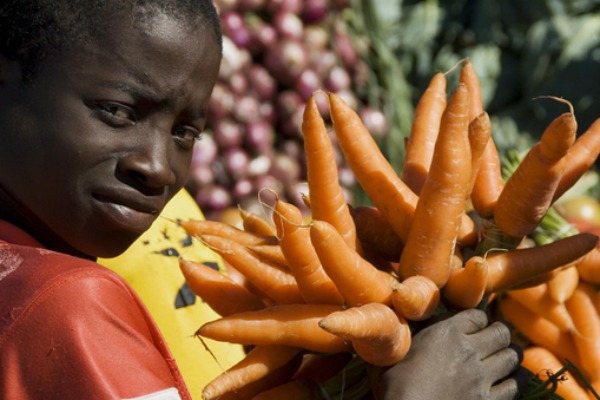L'UE finance un programme d’intégration pour l'ensemble de l’Afrique