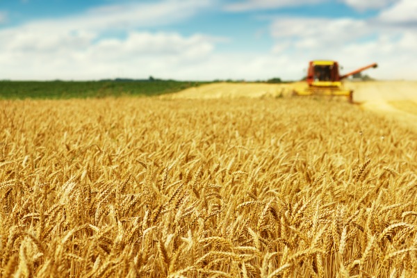 La France mise sur l'agro-écologie pour lutter contre le réchauffement climatique