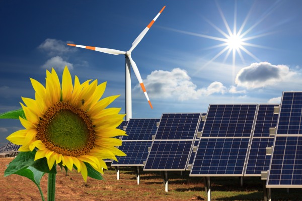 L'examen du projet de loi sur la transition énergétique démarre sous tension