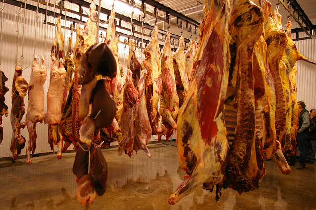 Le régime alimentaire occidental favorise les maladies chroniques 
