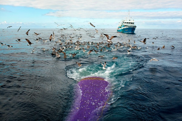 Mesdames et Messieurs les ministres de la Pêche, assumez ce que vous avez signé il y a un an !
