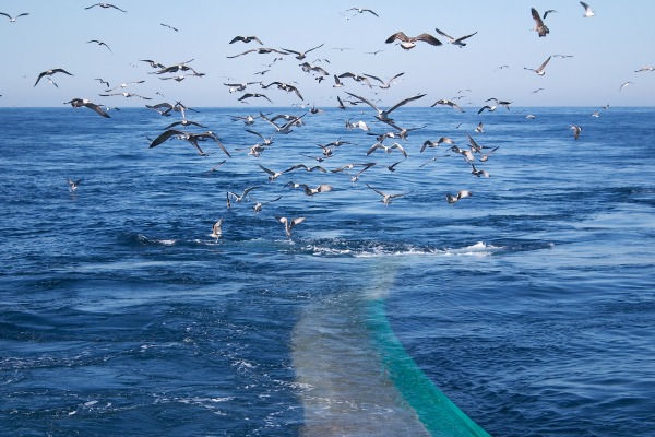 Double langage des Européens sur la pêche en eaux profondes 
