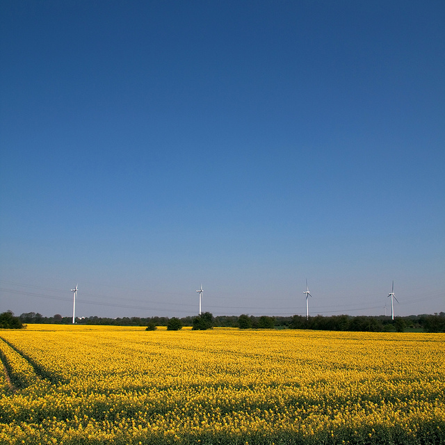 Désaccords à Bruxelles sur les biocarburants issus des cultures vivrières