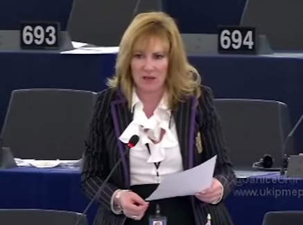 UKIP reproche aux eurodéputés les morts de la crise ukrainienne 