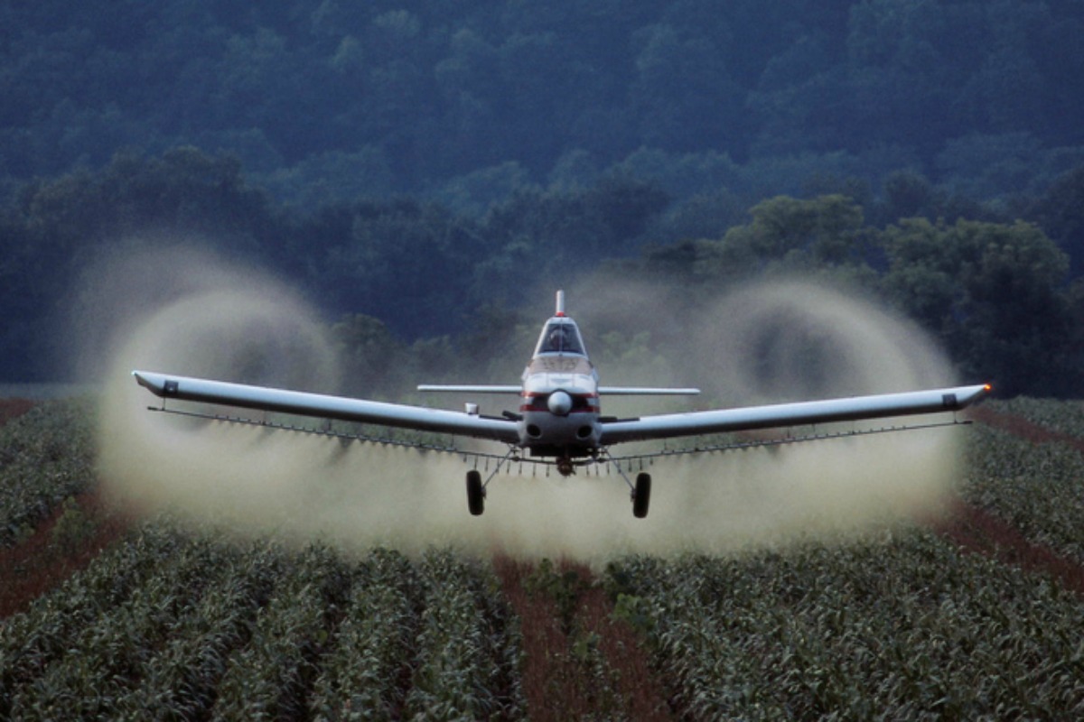 Cinq pesticides passés au crible par le Centre international de recherche sur le cancer