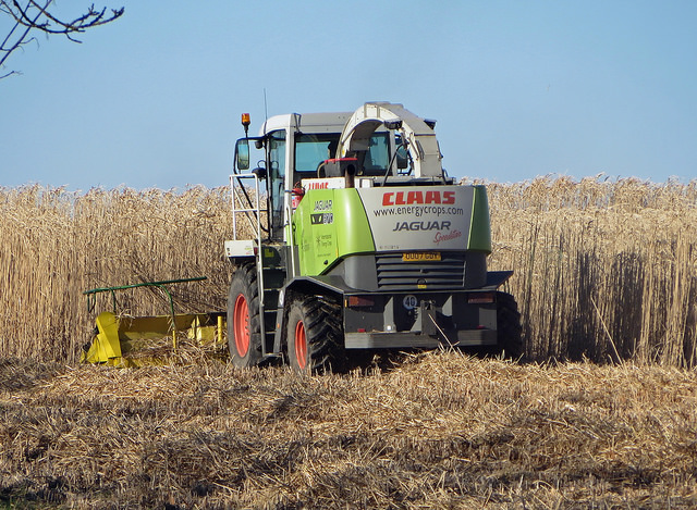 Le recours aux biocarburants issus de terres agricoles va être limité
